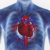 Strengths research on sudden cardiac death