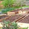 Make your garden beautiful with raised beds