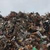 Affaldssortering – Sådan skal du sortere dit affald 