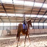 Bliv udfordret på dit eget niveau 