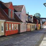 Dette må du ikke gå glip af denne sommer i Odense