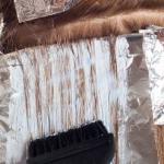 Slip af med Corona-tristheden med ekstra farve på dit efterår