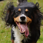 Guide: Sådan flytter du til studiebyen smart og sikkert