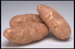 Fuldt overblik over kartoflens gener giver mere effektive afgrøder
