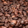 God kaffe som studerende - sådan gør du