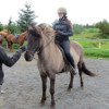Experience Iceland on horseback, by kayak or on foot.