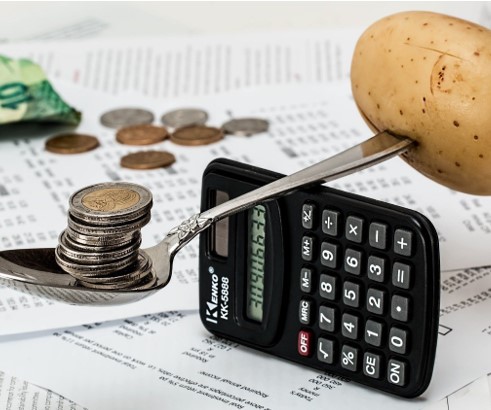 Kan man leve bæredygtigt på budget?