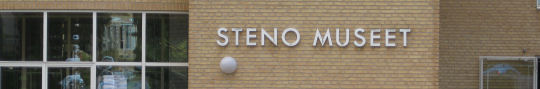 Steno Museum